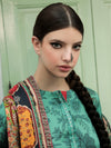 NiN - Faiza Faisal