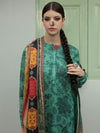 NiN - Faiza Faisal
