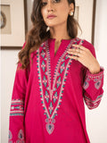 2 PC Stitched | Embroidered Suit